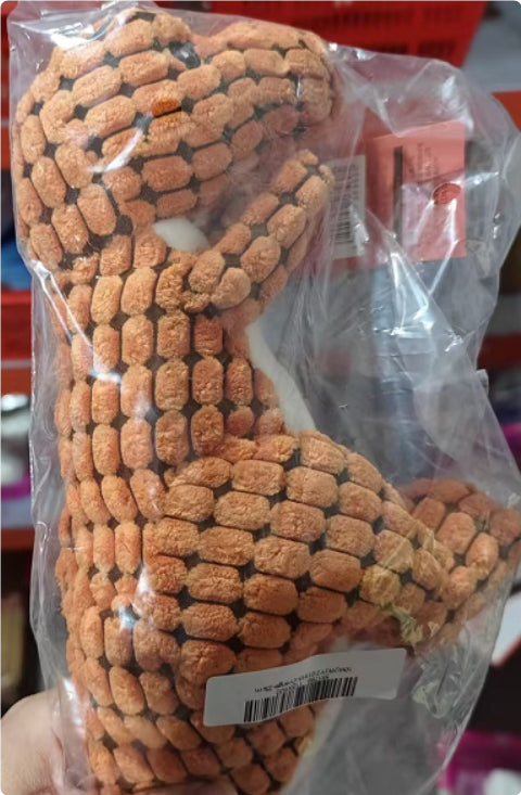 Dinosaur Interactive  Pet Toys