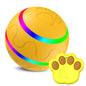 Pet Intelligent Ball Toy