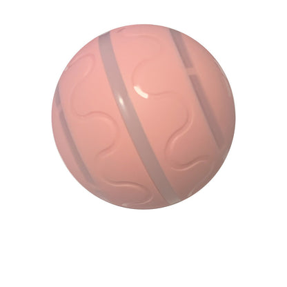 Pet Intelligent Ball Toy