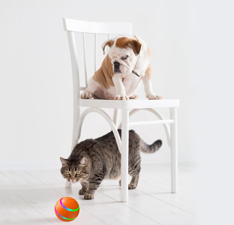 Pet Intelligent Ball Toy