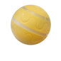 Pet Intelligent Ball Toy